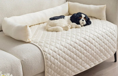 Waterproof Anti-Dirty Pet Mat